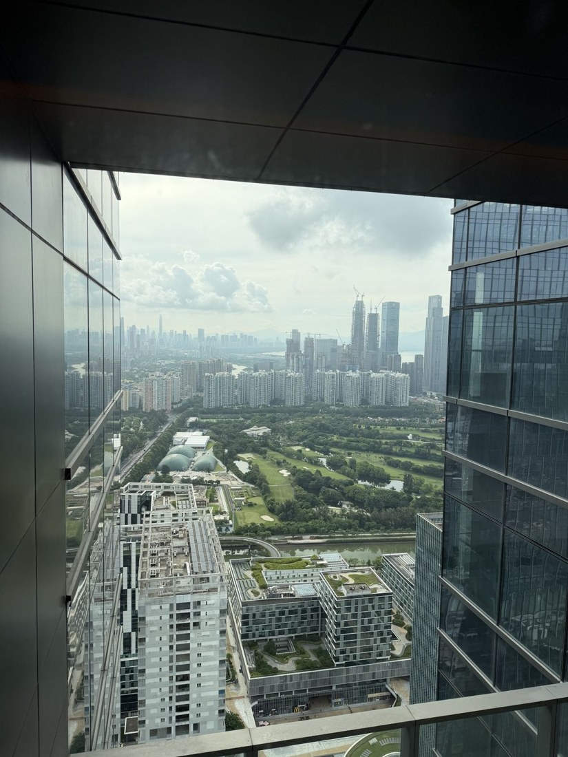La ciudad desde las alturas, entre torres y jardines